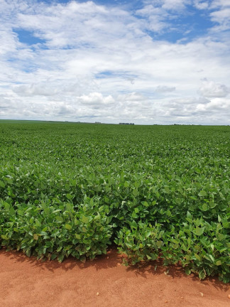 Imóvel à Venda, 1.320 m² em área Rural De Nova Mutum - Nova Mutum