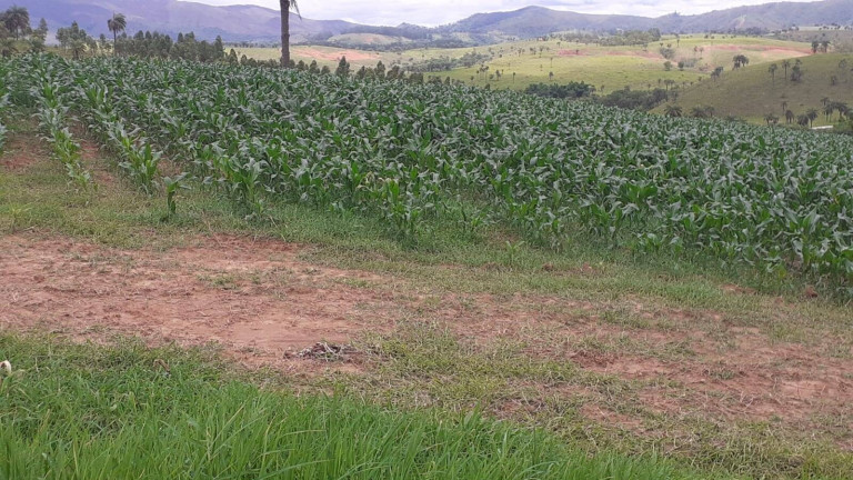 Imagem Fazenda à Venda, 1.950 m² em Centro - Córrego Danta Imagem Fazenda à Venda, 1.950 m² em Centro - Córrego Danta