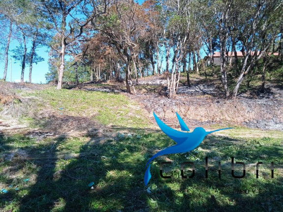 Imagem Terreno à Venda, 1.820 m² em Leão - Agudos Do Sul Imagem Terreno à Venda, 1.820 m² em Leão - Agudos Do Sul