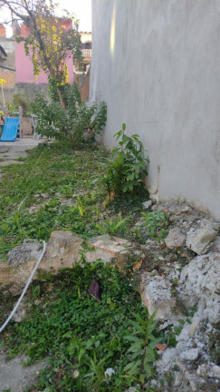 Imagem Casa com 2 Quartos à Venda, 70 m² em Parque Novo Oratório - Santo André
