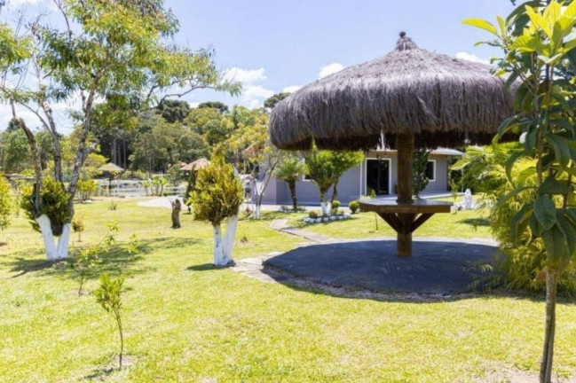 Imagem Fazenda à Venda, em Centro - Contenda Imagem Fazenda à Venda, em Centro - Contenda