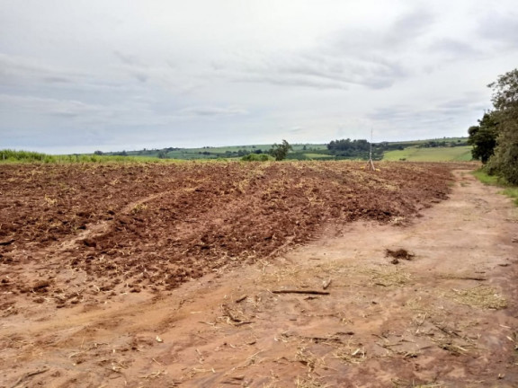 Imagem Terreno à Venda, 10.000 m² em Bairro Dos Pires - Limeira Imagem Terreno à Venda, 10.000 m² em Bairro Dos Pires - Limeira
