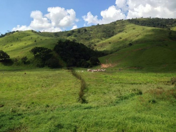 Imagem Fazenda à Venda, 100 m² em Vila Rica - Cunha Imagem Fazenda à Venda, 100 m² em Vila Rica - Cunha
