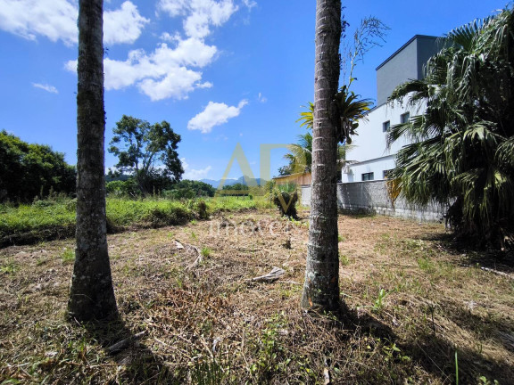 Imagem Terreno à Venda, 460 m² em Fundos - Biguaçu Imagem Terreno à Venda, 460 m² em Fundos - Biguaçu