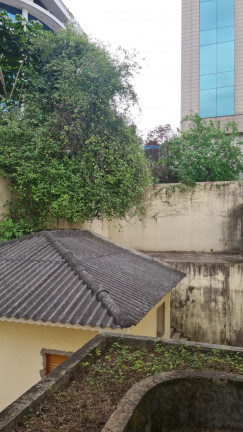 Imagem Casa com 1 Quarto à Venda, 120 m² em Jardim Paulista - São Paulo