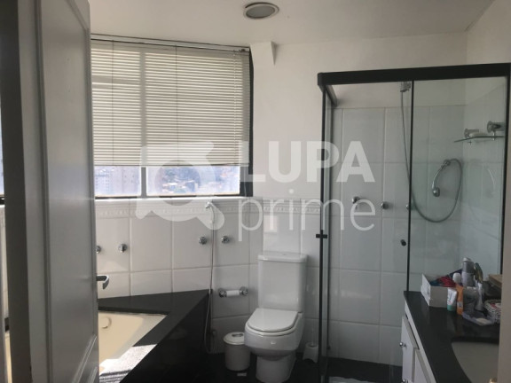 Imagem Apartamento com 3 Quartos à Venda, 250 m² em Vila Paulicéia - São Paulo Imagem Apartamento com 3 Quartos à Venda, 250 m² em Vila Paulicéia - São Paulo