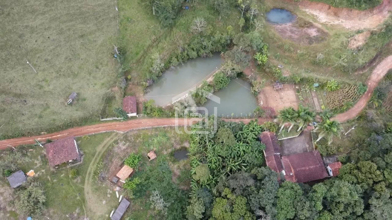 Imagem Imóvel com 3 Quartos à Venda, 15.000 m² em Amendoim - Caldas Imagem Imóvel com 3 Quartos à Venda, 15.000 m² em Amendoim - Caldas