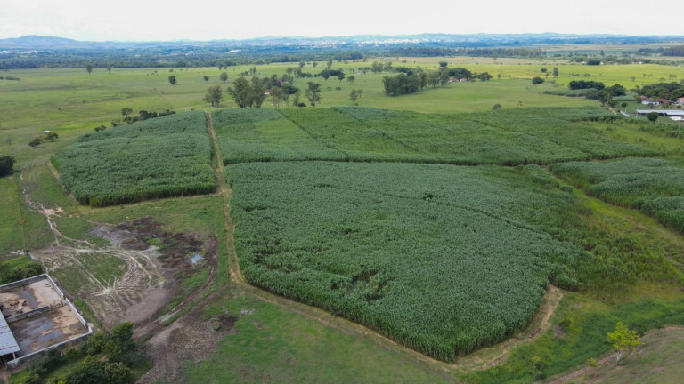 Imagem Fazenda à Venda, 100 m² em Centro - Pindamonhangaba Imagem Fazenda à Venda, 100 m² em Centro - Pindamonhangaba