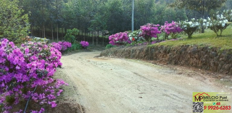 Imagem Imóvel com 3 Quartos à Venda, em Beija Flor - Major Gercino Sc Imagem Imóvel com 3 Quartos à Venda, em Beija Flor - Major Gercino Sc