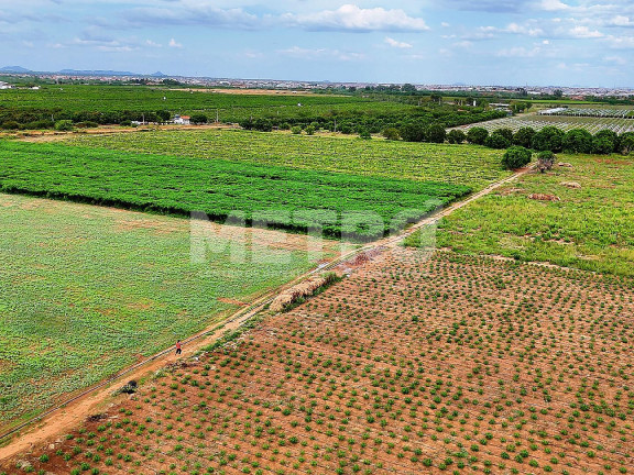 Fazenda à Venda,  em área Rual - Petrolina