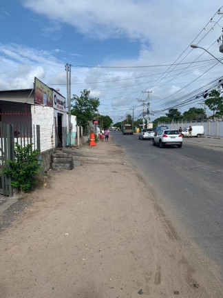 Imagem Terreno à Venda, 3.800 m² em Sim - Feira De Santana Imagem Terreno à Venda, 3.800 m² em Sim - Feira De Santana