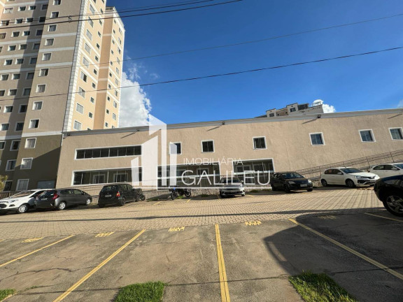 Imagem Apartamento com 2 Quartos à Venda, 52 m² em Jardim Nova Europa - Campinas