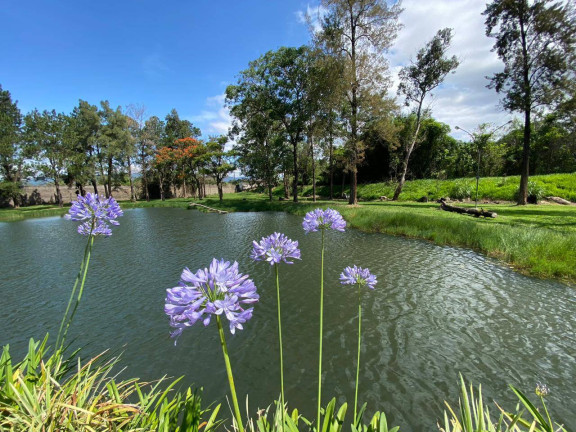 Chácara com 3 Quartos à Venda, 95.000 m² em Campos De Atibaia - Atibaia