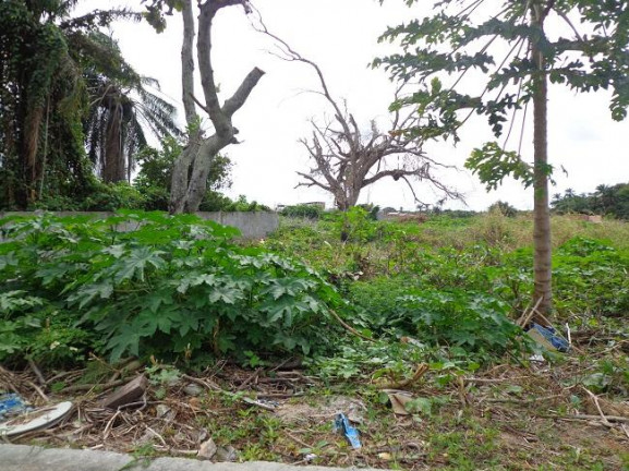 Imagem Terreno à Venda, 4 m²em Abrantes - Camaçari Imagem Terreno à Venda, 4 m²em Abrantes - Camaçari
