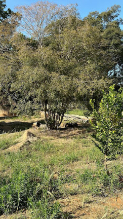 Imagem Terreno à Venda, 1.000 m² em Chácara Alvorada - Indaiatuba Imagem Terreno à Venda, 1.000 m² em Chácara Alvorada - Indaiatuba