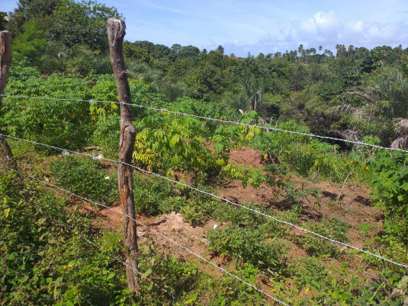 Imagem Terreno à Venda, 10.000 m² em Barra Do Jacuípe (monte Gordo) - Camaçari Imagem Terreno à Venda, 10.000 m² em Barra Do Jacuípe (monte Gordo) - Camaçari