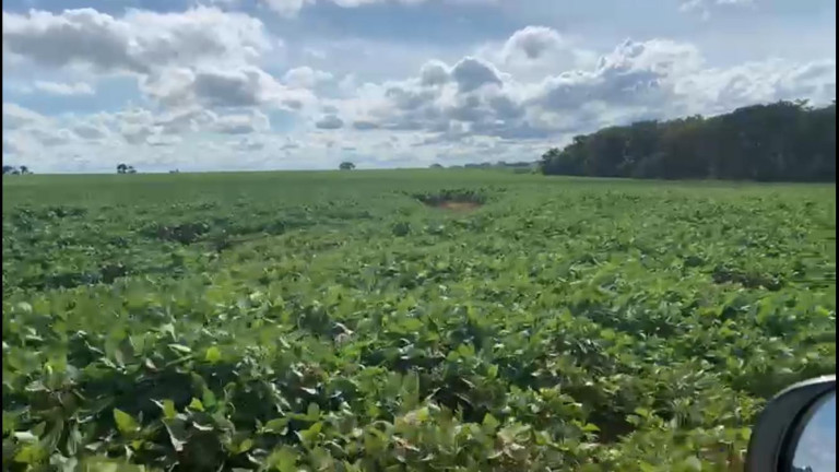 Imagem Chácara à Venda, 38 m² em Rural - Coronel Macedo