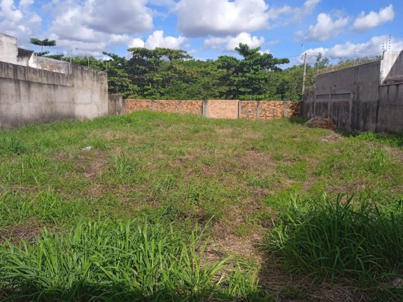 Imagem Terreno para Alugar, 800 m² em Ponta D'areia - São Luís Imagem Terreno para Alugar, 800 m² em Ponta D'areia - São Luís