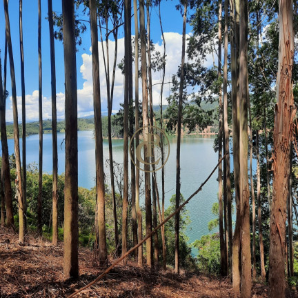 Imagem Fazenda à Venda, 100 m² em Lagoa - Paraibuna Imagem Fazenda à Venda, 100 m² em Lagoa - Paraibuna