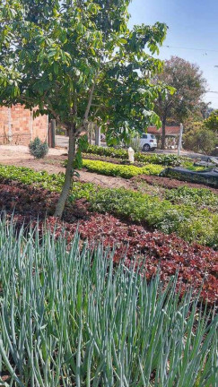 Terreno à Venda, 1.500 m² em Parque Santa Julieta - Santa Cruz Da Conceição