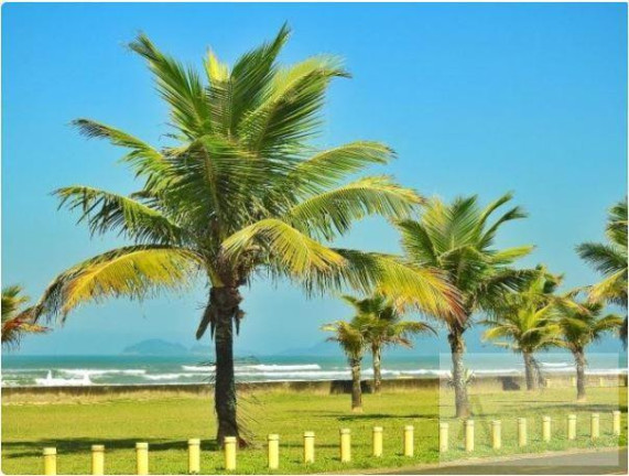 Imagem Casa com 2 Quartos à Venda, 150 m² em Vila Ermelinda - Peruíbe Imagem Casa com 2 Quartos à Venda, 150 m² em Vila Ermelinda - Peruíbe