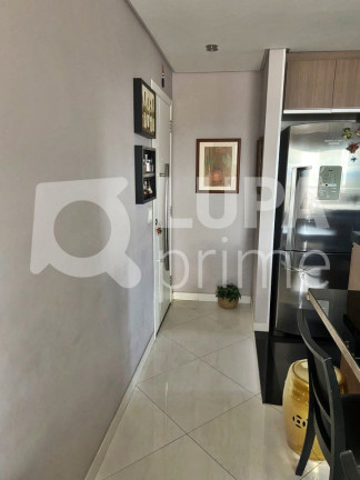 Imagem Apartamento com 3 Quartos à Venda, 63 m² em Vila Guilherme - São Paulo Imagem Apartamento com 3 Quartos à Venda, 63 m² em Vila Guilherme - São Paulo