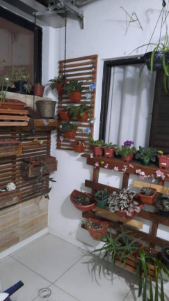 Imagem Apartamento com 3 Quartos à Venda, 76 m² em Vila Pires - Santo André