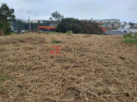 Imagem Terreno à Venda, 10.321 m² em Jardim Guerreiro - Cotia Imagem Terreno à Venda, 10.321 m² em Jardim Guerreiro - Cotia