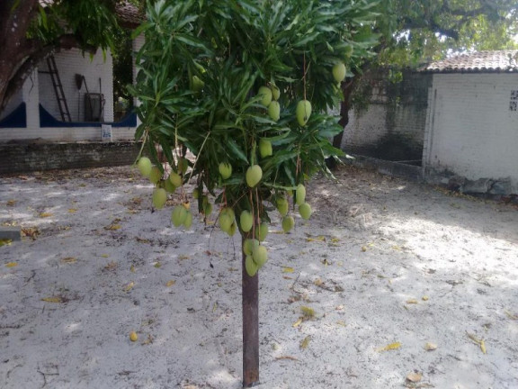 Imagem Imóvel com 4 Quartos à Venda, 2.016 m² em Aquiraz - Aquiraz