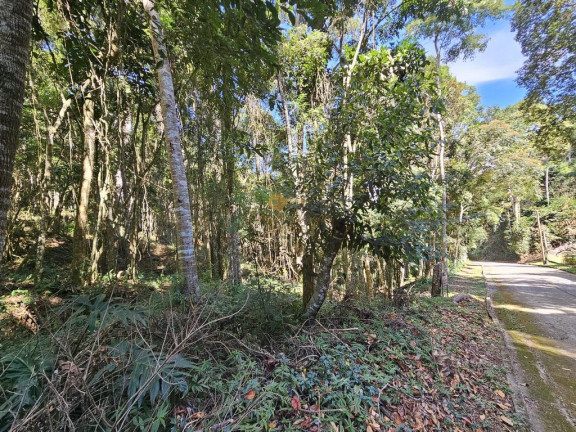 Imagem Terreno à Venda, 5.000 m² em Green Valleiy - Teresópolis