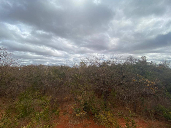 Imagem Chácara à Venda, 4.000 m² em Montes Claros Imagem Chácara à Venda, 4.000 m² em Montes Claros