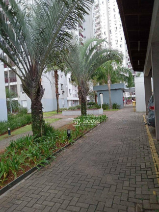 Imagem Apartamento com 3 Quartos à Venda, 64 m² em Castelo - Santos Imagem Apartamento com 3 Quartos à Venda, 64 m² em Castelo - Santos