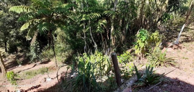 Imagem Chácara à Venda,  em Consultar - São Roque