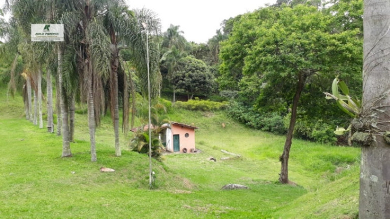 Imagem Chácara com 4 Quartos à Venda, 8.000 m² em Caetê - São Roque Imagem Chácara com 4 Quartos à Venda, 8.000 m² em Caetê - São Roque
