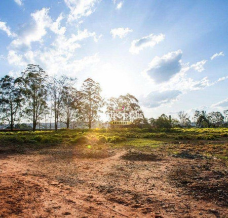 Imagem Terreno à Venda ou Locação, 28.003 m² em Cooperativa - São Bernardo Do Campo Imagem Terreno à Venda ou Locação, 28.003 m² em Cooperativa - São Bernardo Do Campo