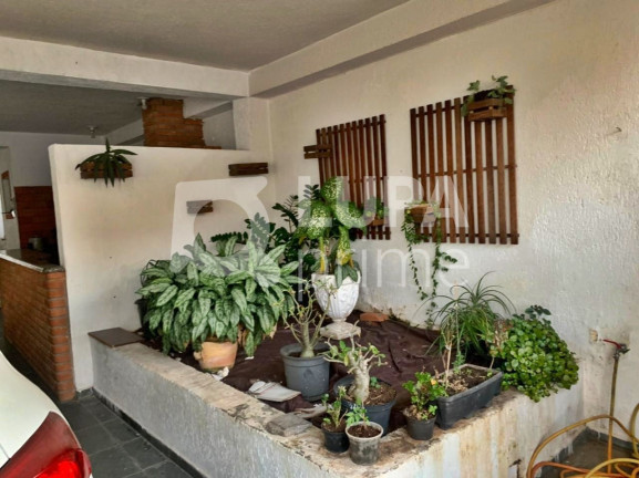 Imagem Casa com 3 Quartos à Venda, 200 m² em Jardim Guanca - São Paulo Imagem Casa com 3 Quartos à Venda, 200 m² em Jardim Guanca - São Paulo