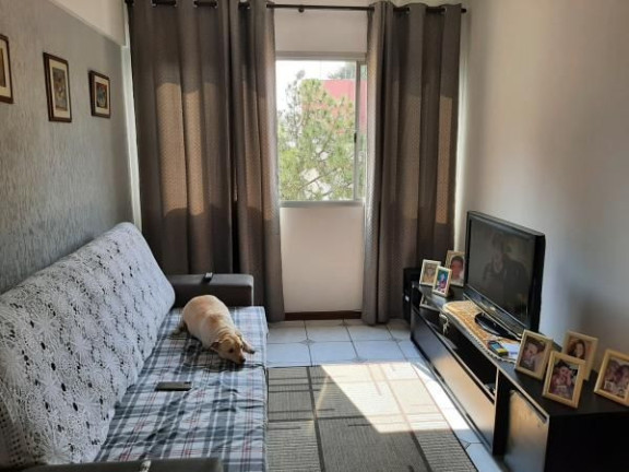 Apartamento com 1 Quarto à Venda, 38 m² em Penha De França - São Paulo