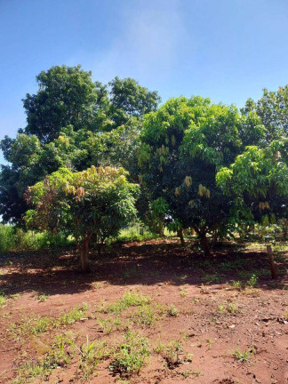 Imagem Chácara com 2 Quartos à Venda, 120 m² em área Rural  - Terenos