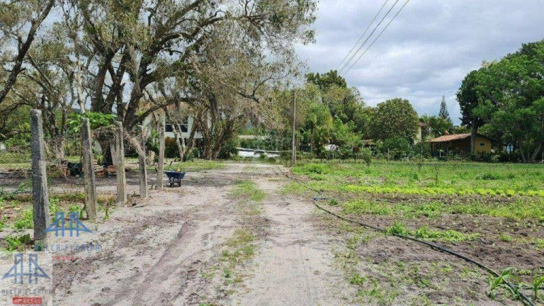 Imagem Fazenda à Venda, 400 m² em Ratones - Florianópolis Imagem Fazenda à Venda, 400 m² em Ratones - Florianópolis