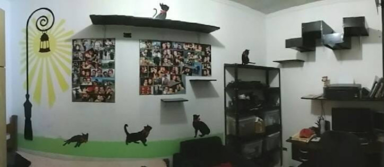 Imagem Casa com 3 Quartos à Venda, 209 m² em Parque Das Nações - Santo André