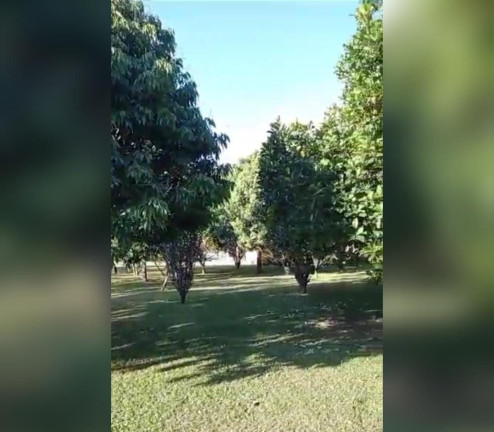 Imagem Chácara com 4 Quartos à Venda, 290 m² em Centro - Santa Branca Imagem Chácara com 4 Quartos à Venda, 290 m² em Centro - Santa Branca