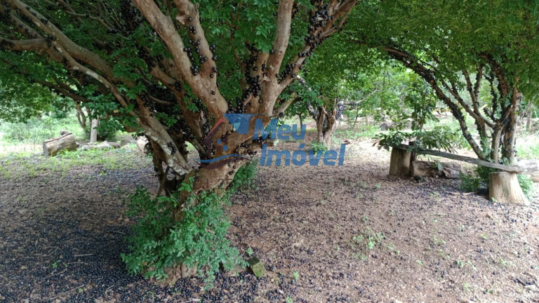 Imagem Imóvel com 6 Quartos à Venda, 315 m² em área Rural De Luziânia - Luziânia Imagem Imóvel com 6 Quartos à Venda, 315 m² em área Rural De Luziânia - Luziânia