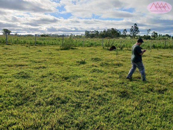 Imagem Terreno à Venda, 3.000 m² em Bairro Boco Guarei - Itapetininga Imagem Terreno à Venda, 3.000 m² em Bairro Boco Guarei - Itapetininga