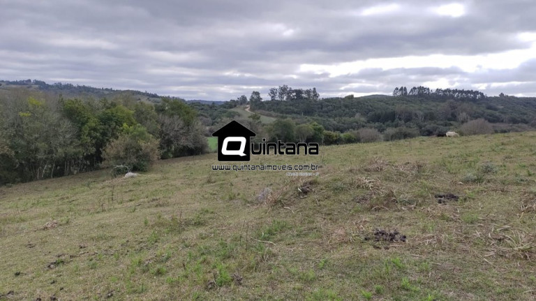 Imagem Imóvel com 4 Quartos à Venda, 80.000 m² em Colônia Santa Maria - Pelotas