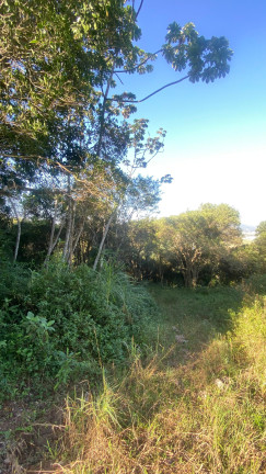 Imagem Terreno à Venda, 61.000 m² em Ambrósio - Garopaba