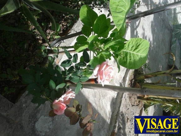 Imagem Casa com 3 Quartos à Venda, em 1º De Maio - Jacareí Imagem Casa com 3 Quartos à Venda, em 1º De Maio - Jacareí