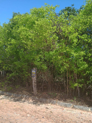 Imagem Terreno à Venda, 1.000 m² em Centro De Tibau Do Sul - Tibau Do Sul