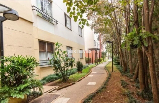 Imagem Apartamento com 2 Quartos à Venda, 50 m² em Morumbi - São Paulo Imagem Apartamento com 2 Quartos à Venda, 50 m² em Morumbi - São Paulo