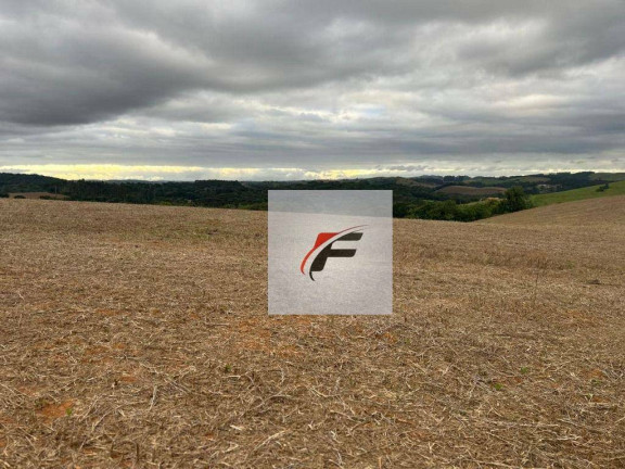 Imagem Chácara à Venda, 168.432 m² em Zona Rural - Quitandinha Imagem Chácara à Venda, 168.432 m² em Zona Rural - Quitandinha