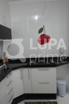 Imagem Apartamento com 3 Quartos à Venda, 75 m² em Vila Mazzei - São Paulo Imagem Apartamento com 3 Quartos à Venda, 75 m² em Vila Mazzei - São Paulo